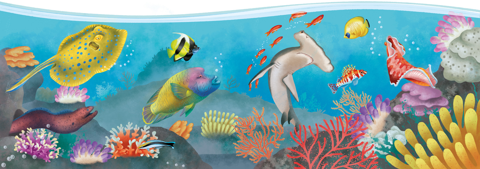 coral reef illustration: hammerhead shark, ray, corals and colorful fishes 